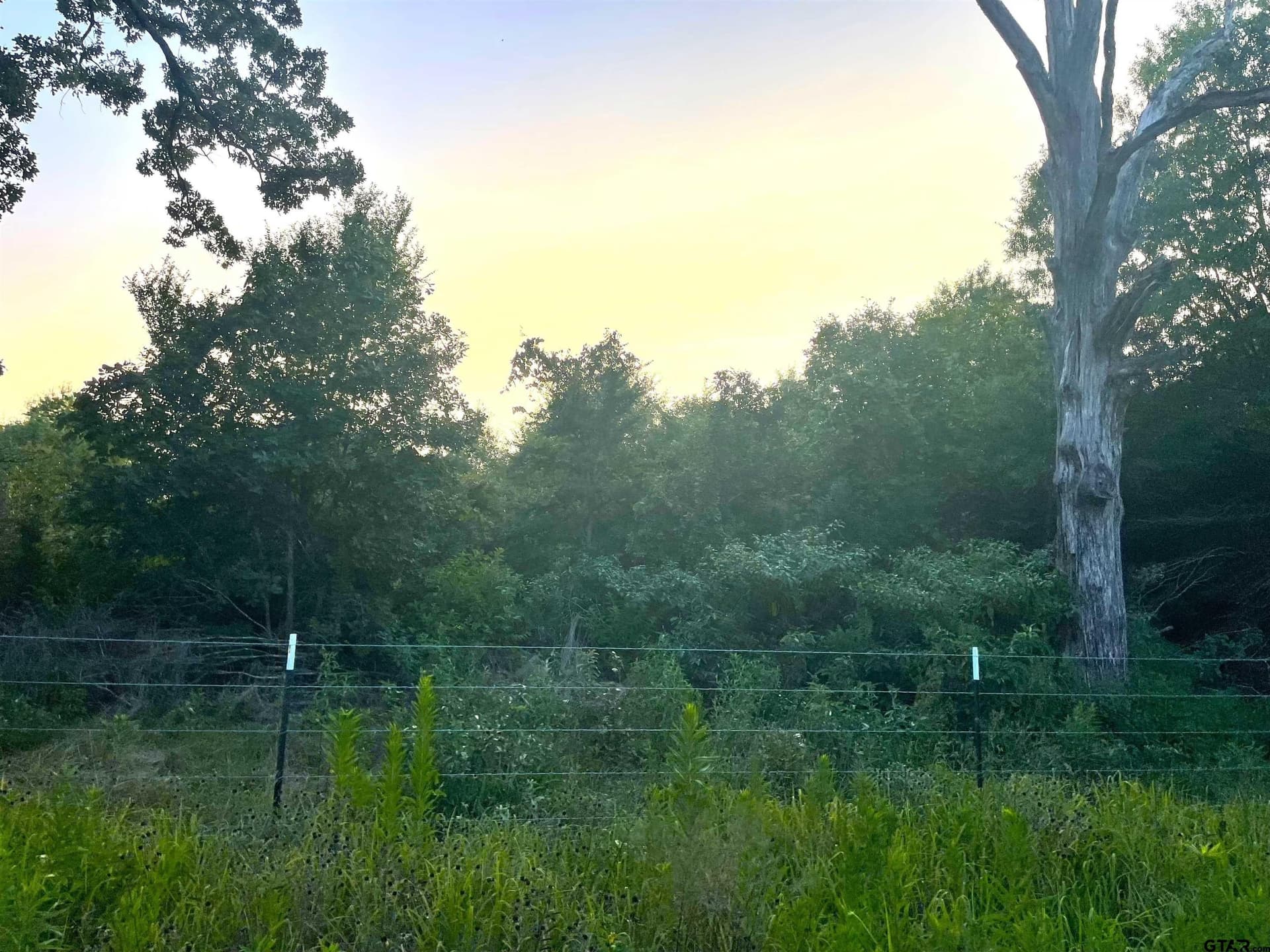 10 acres in Red River County - photo 4