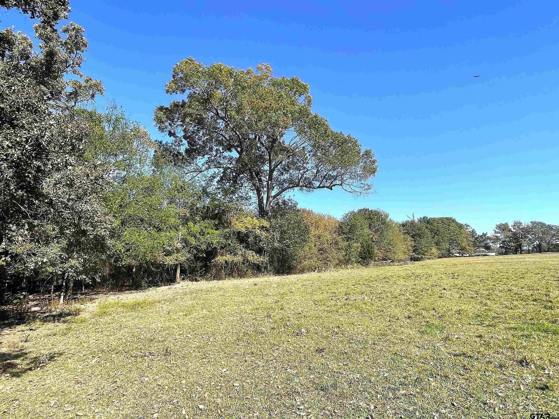 10 acres in Red River County - photo 9