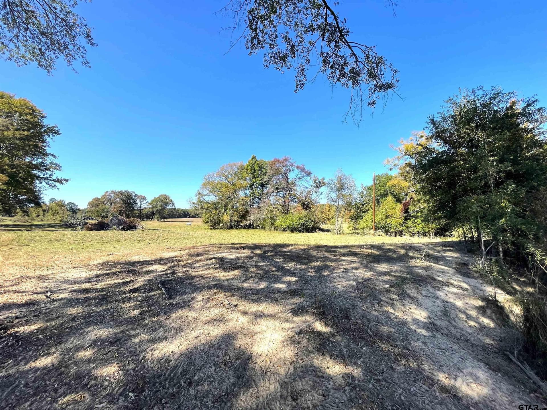 10 acres in Red River County - photo 5