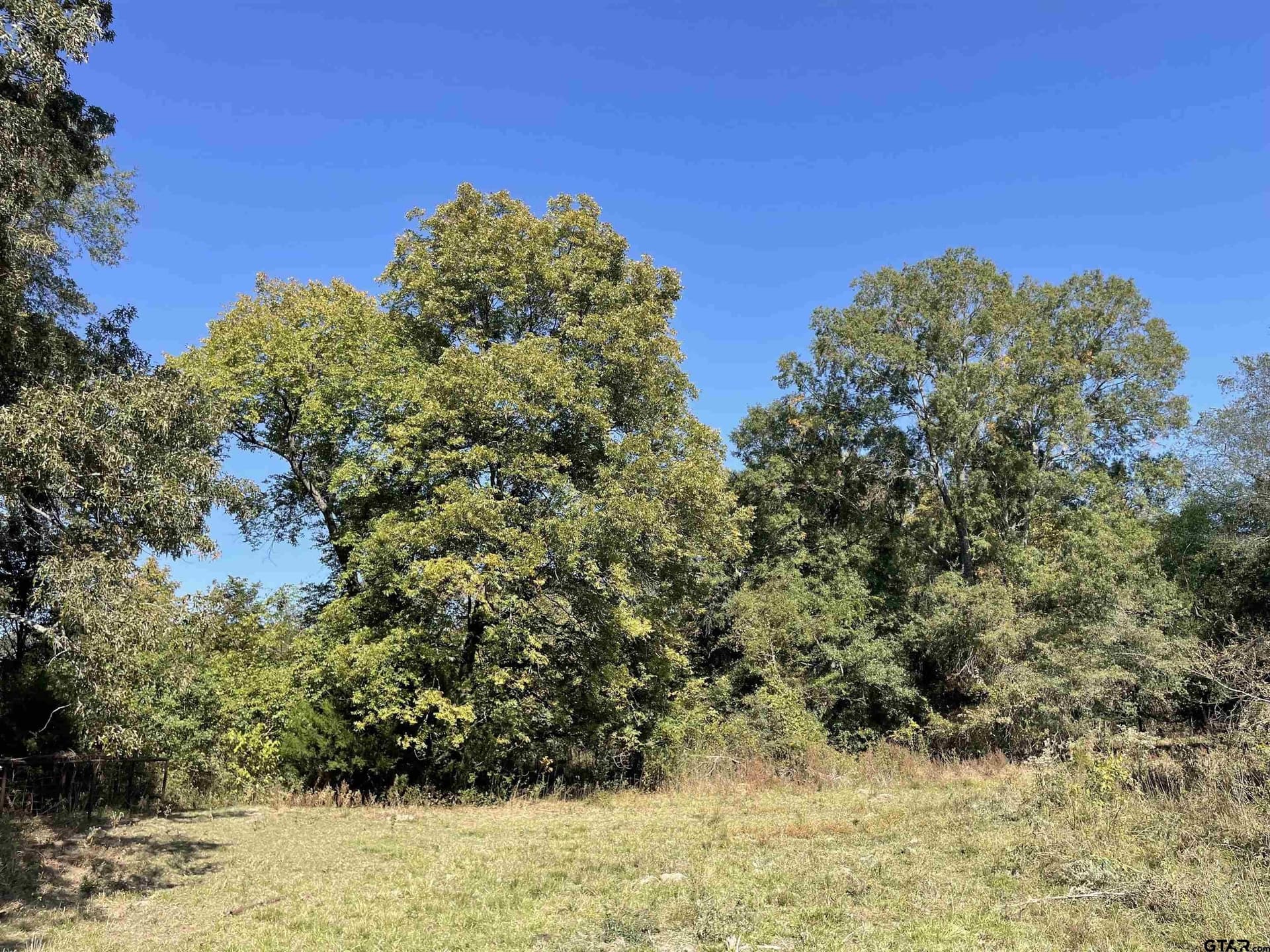 10 acres in Red River County - photo 7
