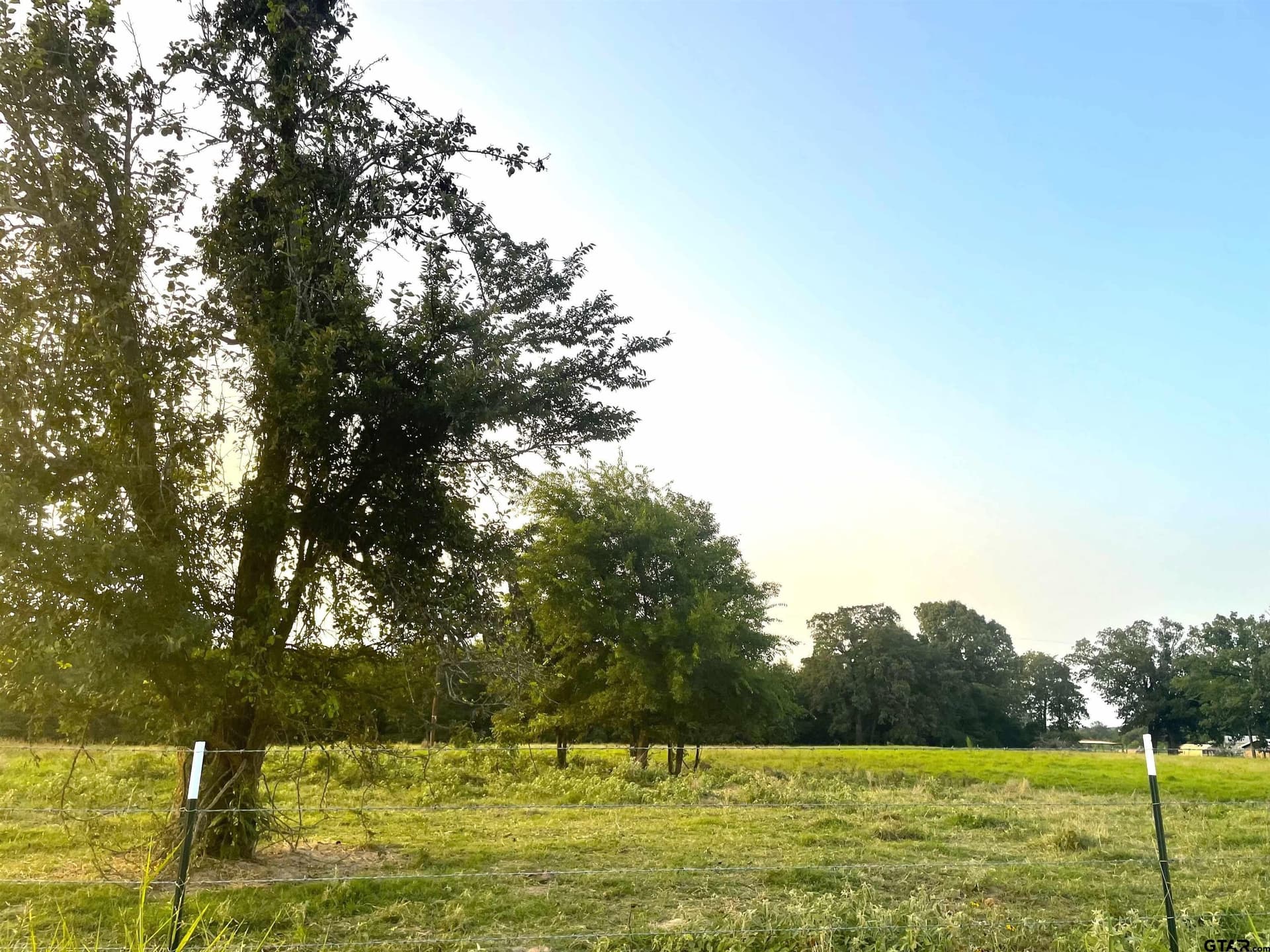 10 acres in Red River County - photo 3