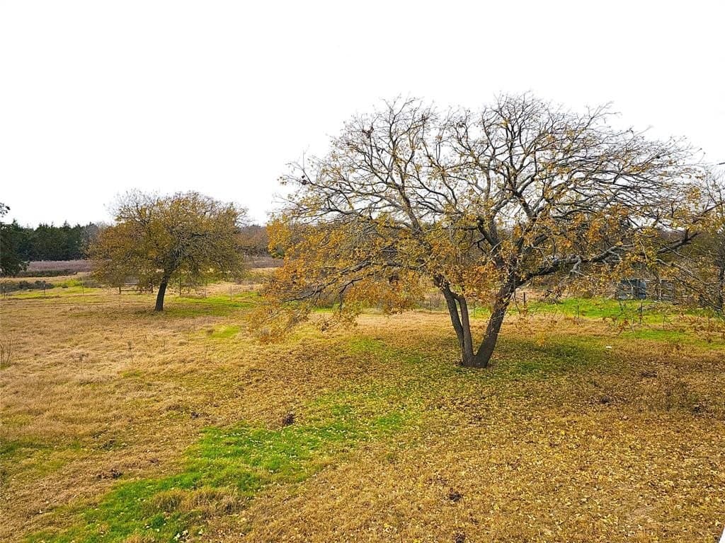 10 acres in Navarro County - photo 10