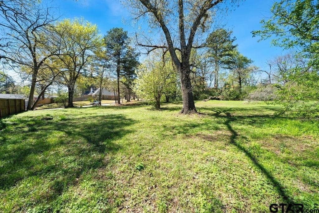 0.35 acres in Smith County - photo 4