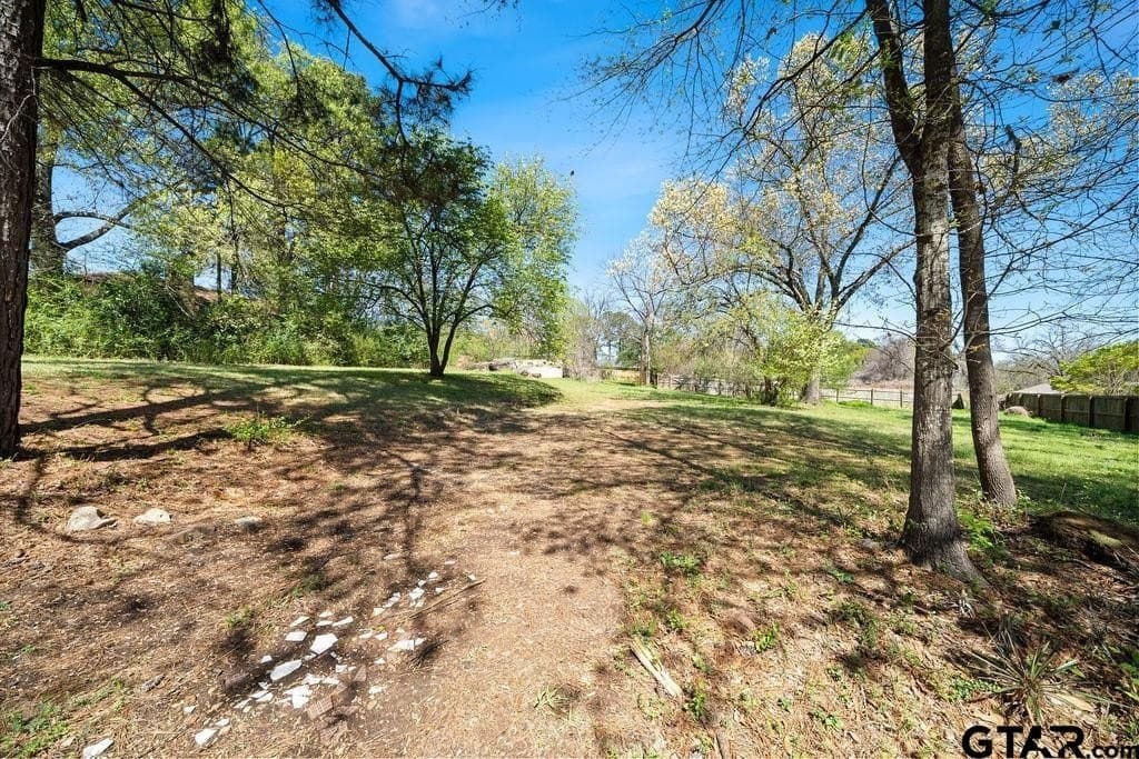 0.35 acres in Smith County - photo 7