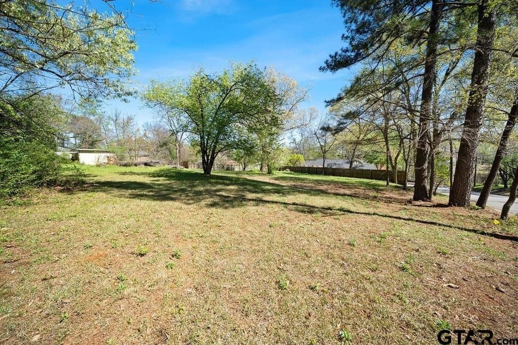 0.35 acres in Smith County - photo 3