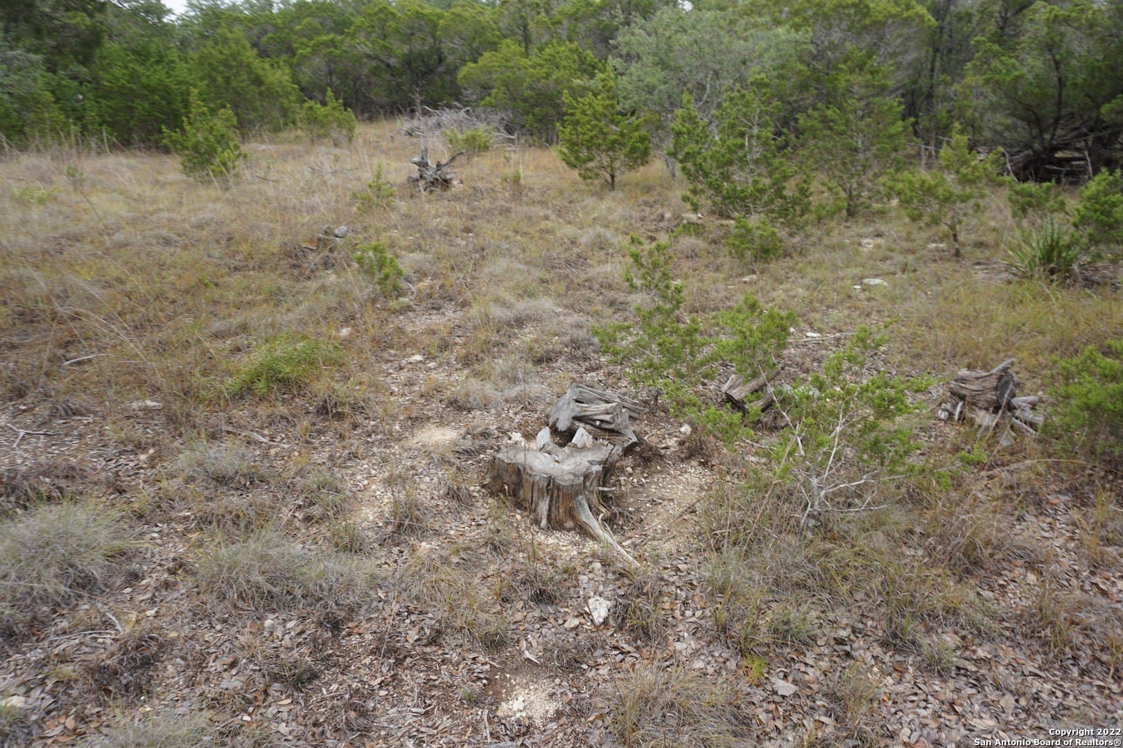 16.7 acres in Hays County - photo 31
