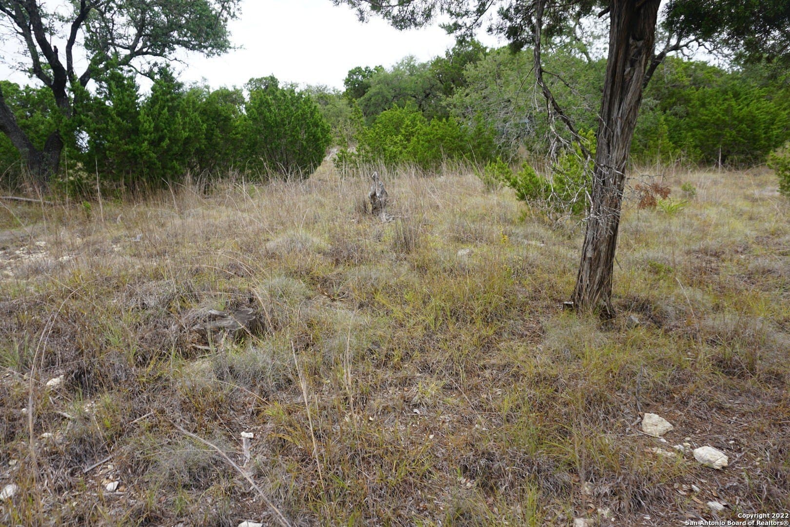 16.7 acres in Hays County - photo 30