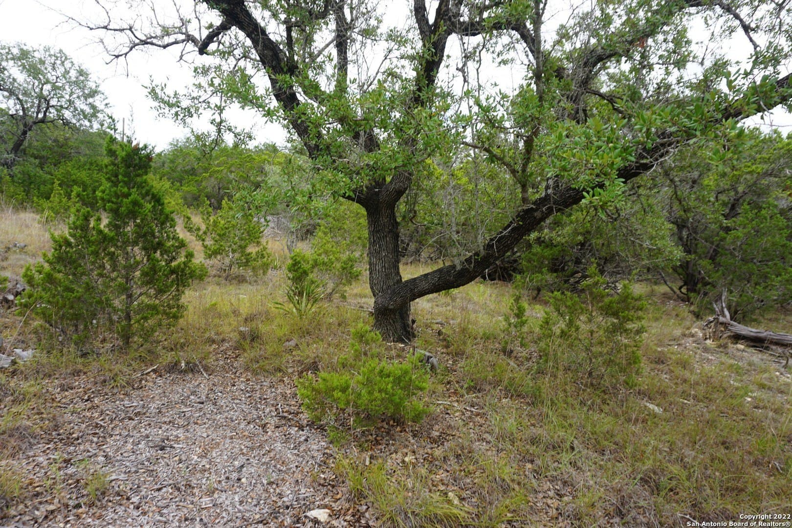 16.7 acres in Hays County - photo 32