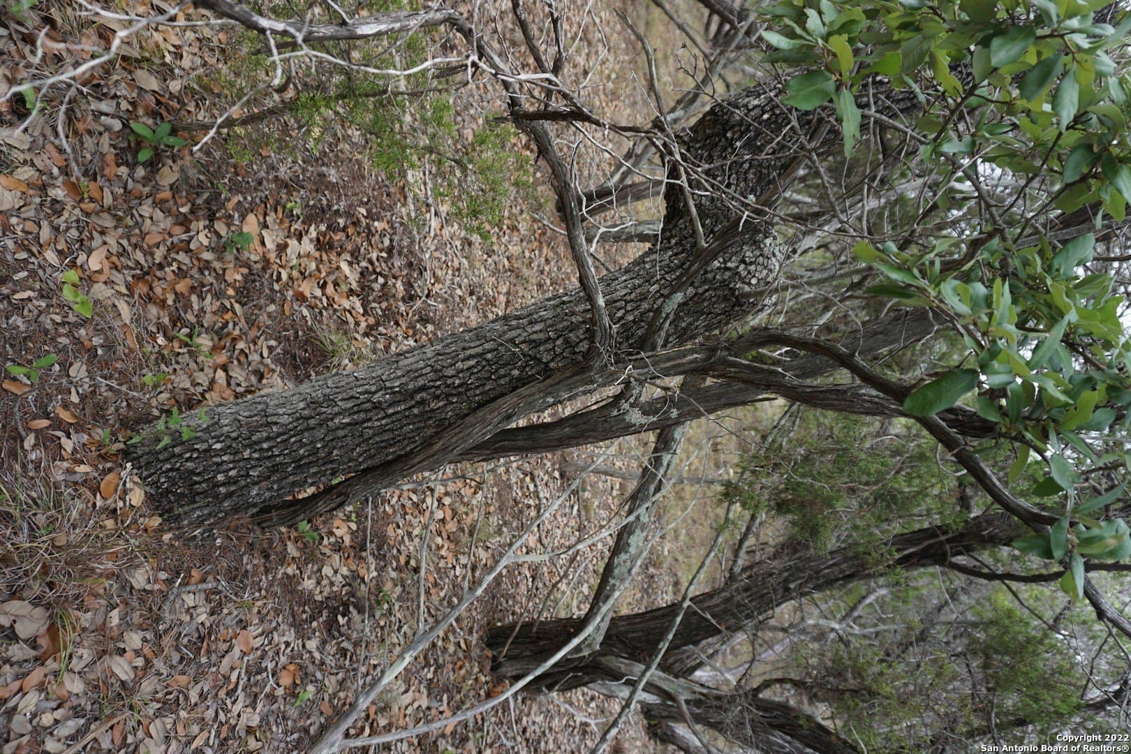 16.7 acres in Hays County - photo 35