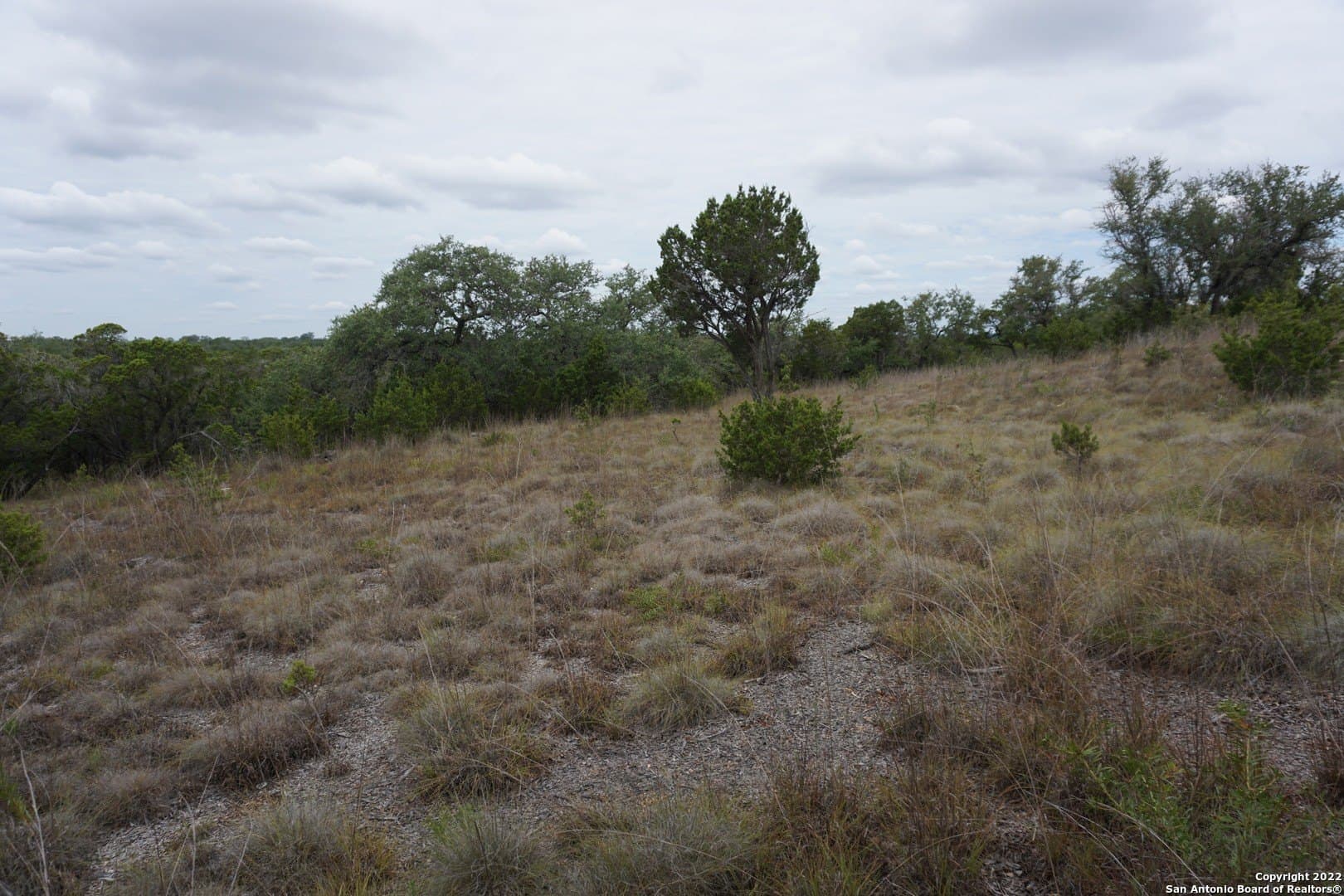 16.7 acres in Hays County - photo 28