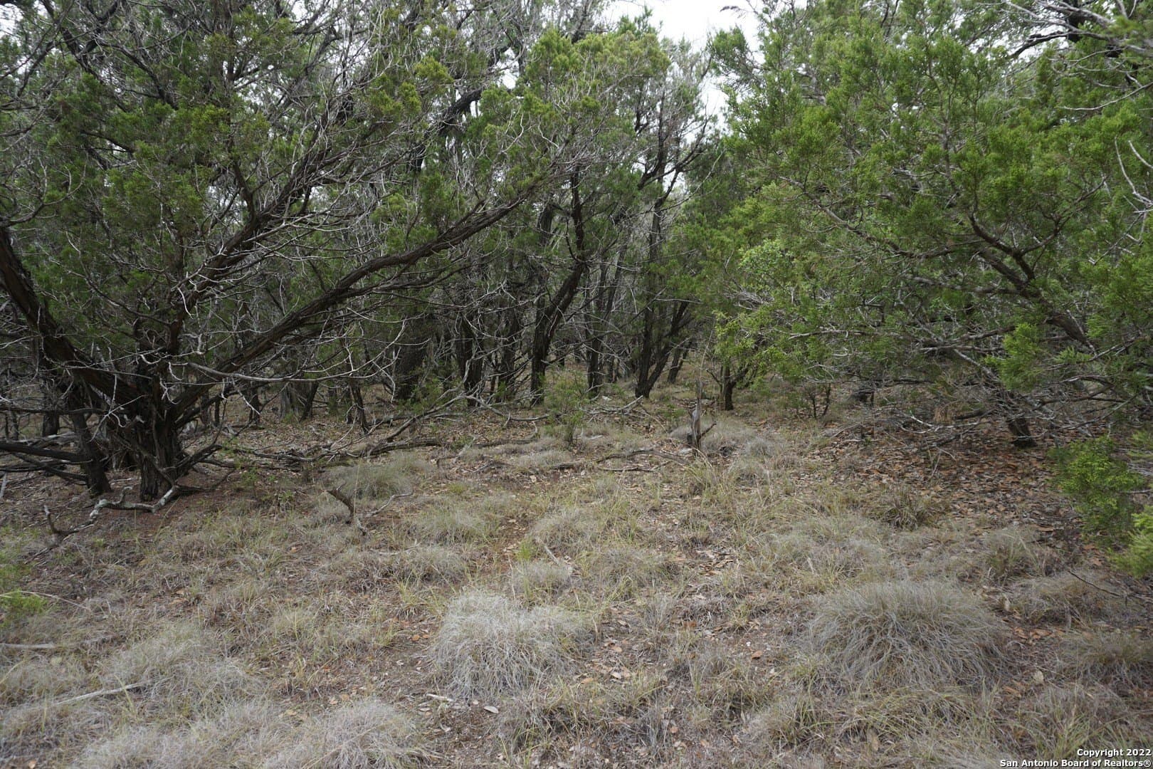 16.7 acres in Hays County - photo 36