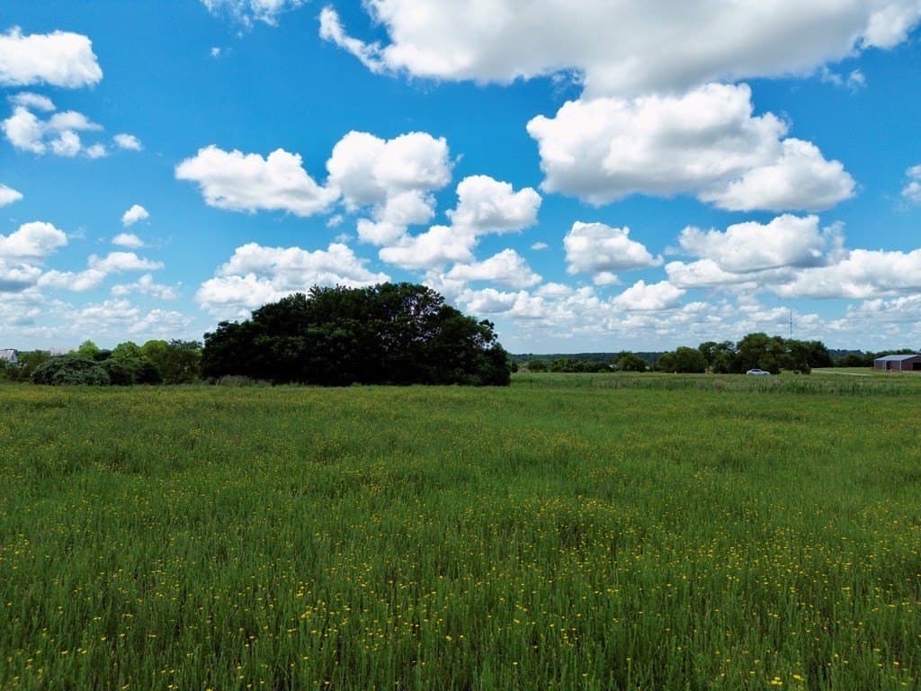 2.12 acres in Henderson County - photo 2