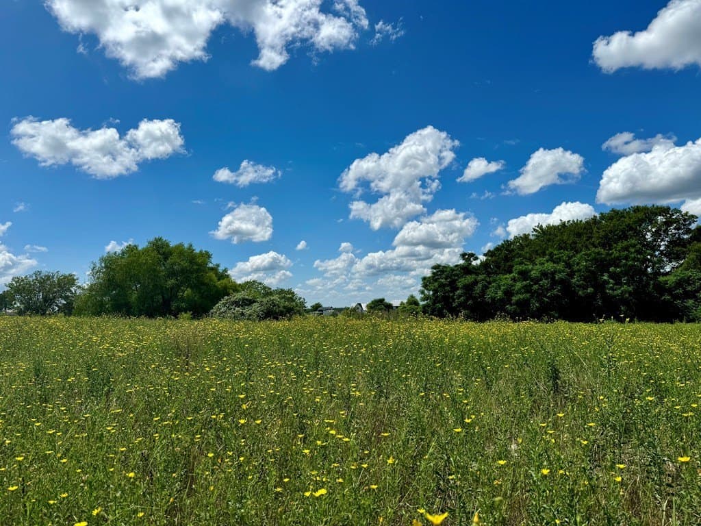 2.12 acres in Henderson County - photo 4