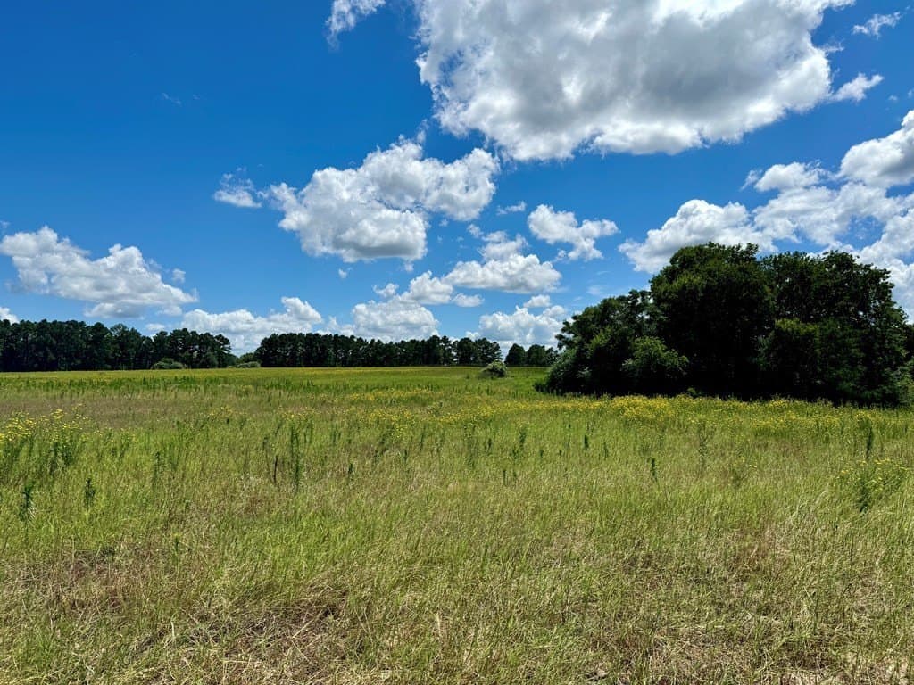 2.12 acres in Henderson County - photo 7