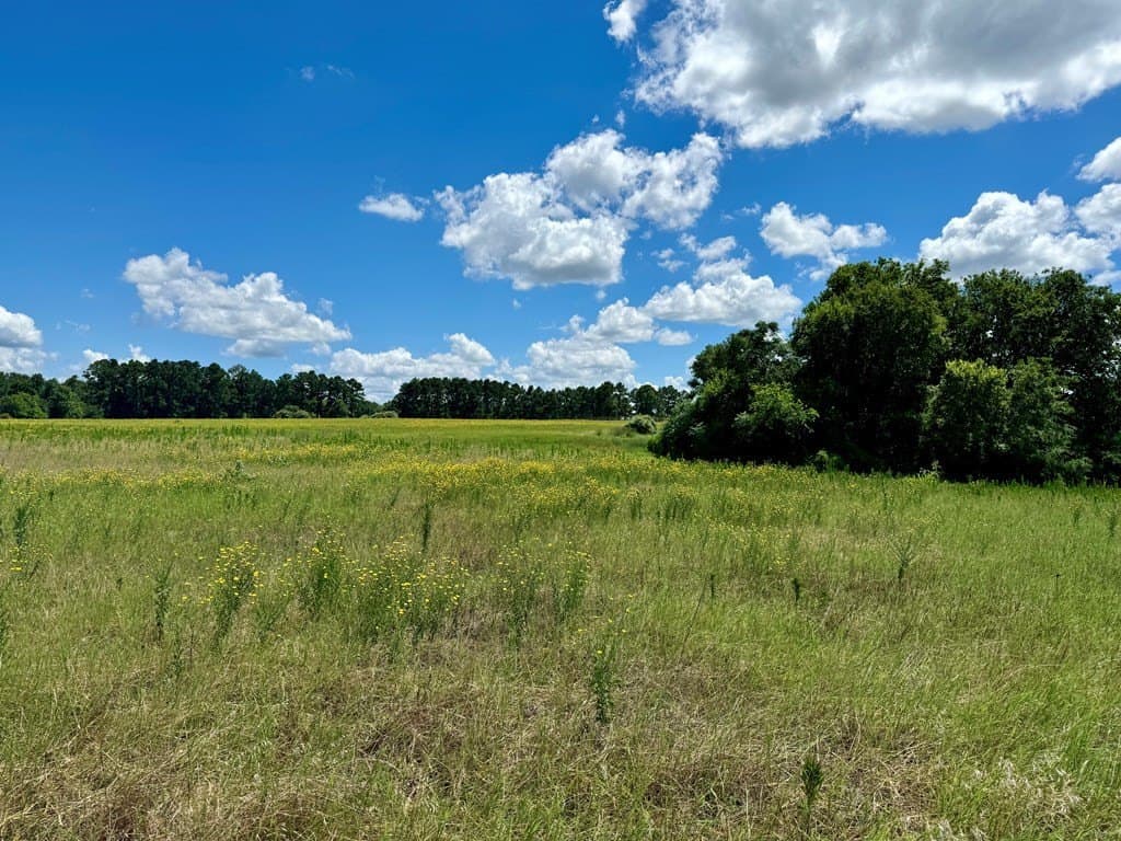 2.12 acres in Henderson County - photo 12