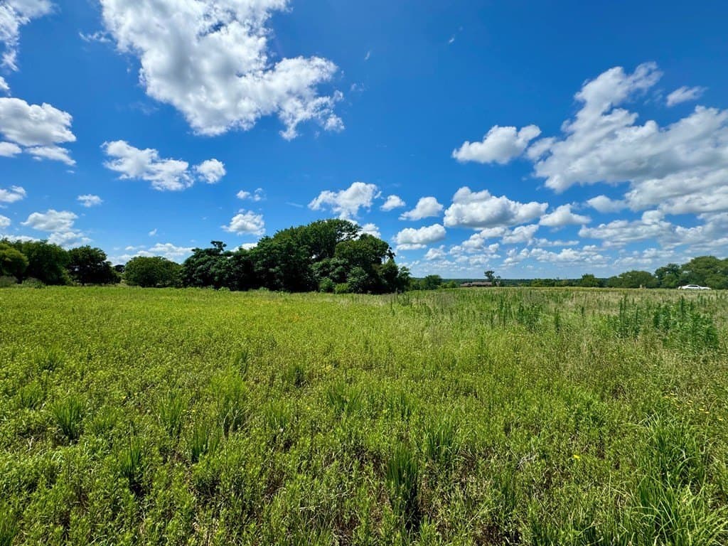 2.12 acres in Henderson County - photo 9