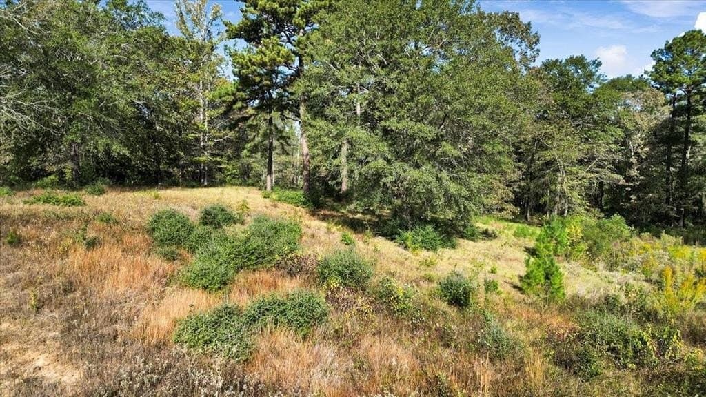 5.02 acres in Upshur County - photo 4