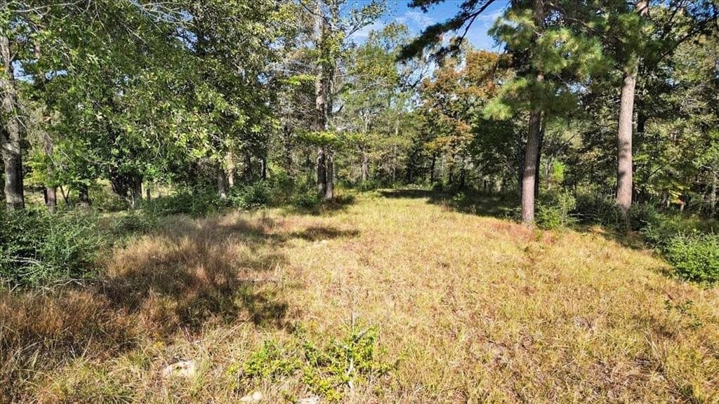 5.02 acres in Upshur County - photo 6