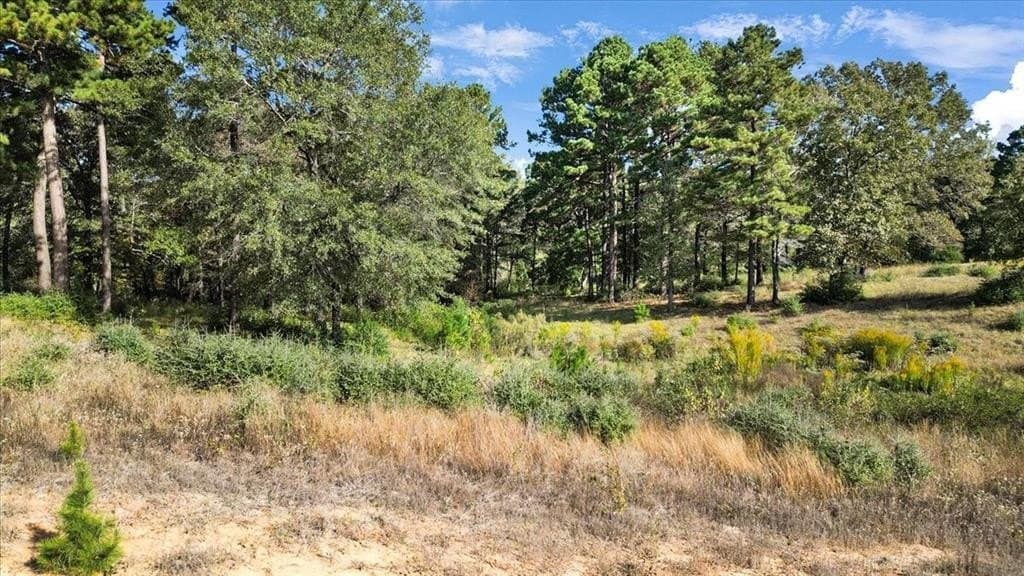 5.02 acres in Upshur County - photo 5