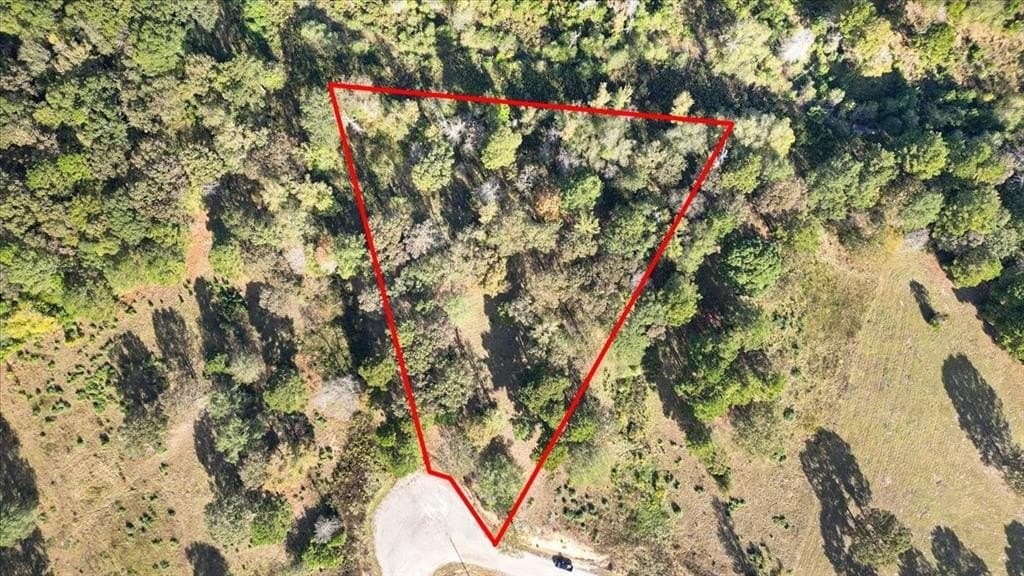 5.02 acres in Upshur County - photo 19