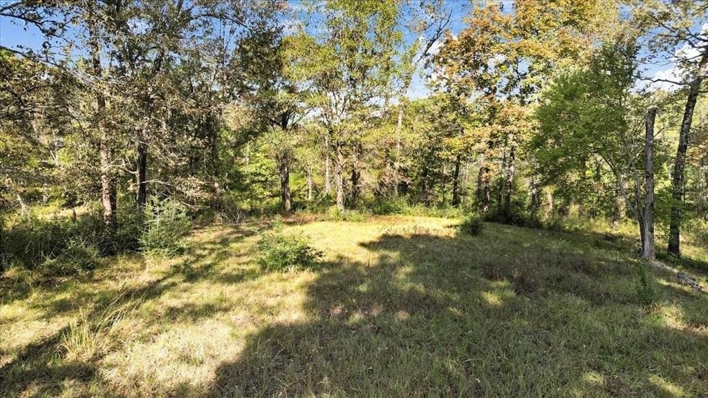 5.02 acres in Upshur County - photo 7
