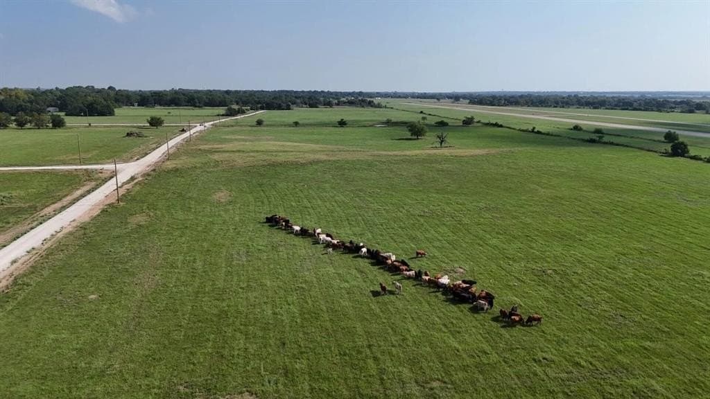 3.34 acres in Limestone County - photo 6