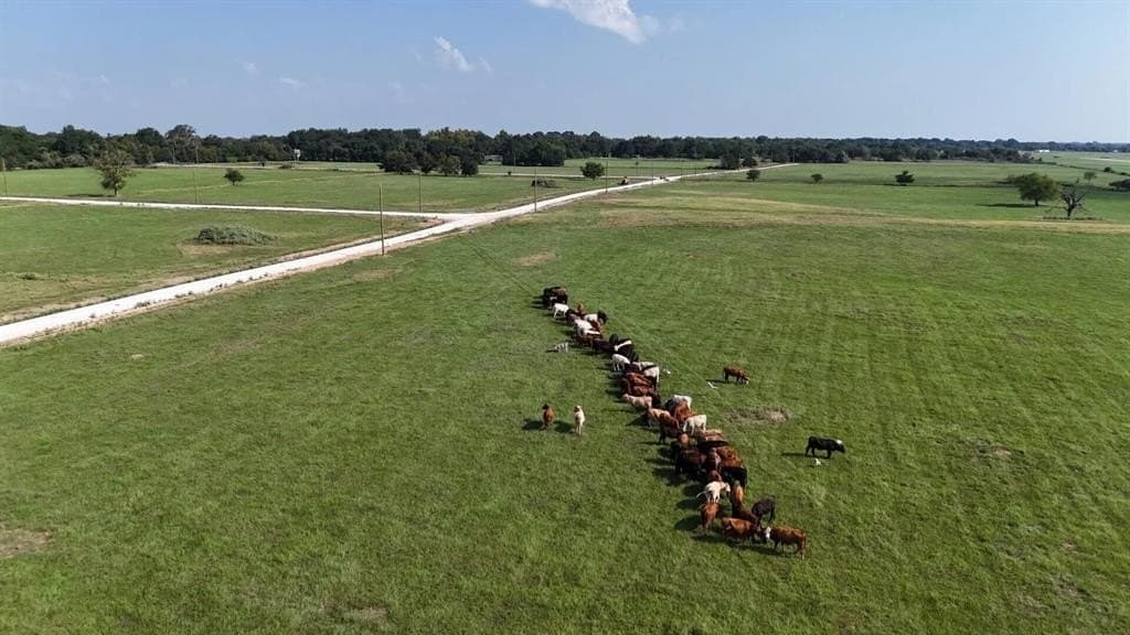 3.34 acres in Limestone County - photo 7