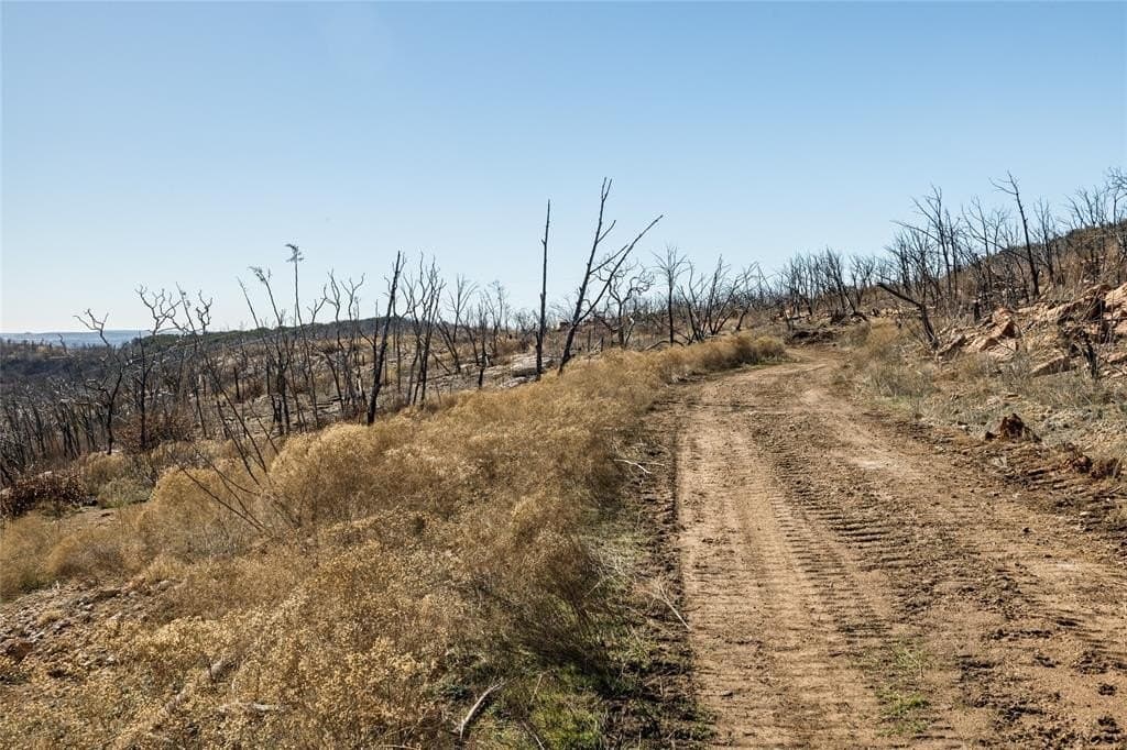 320 acres in Palo Pinto County - photo 5
