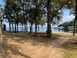 0.12 acres in Henderson County - photo 14