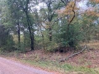 0.12 acres in Henderson County - photo 2
