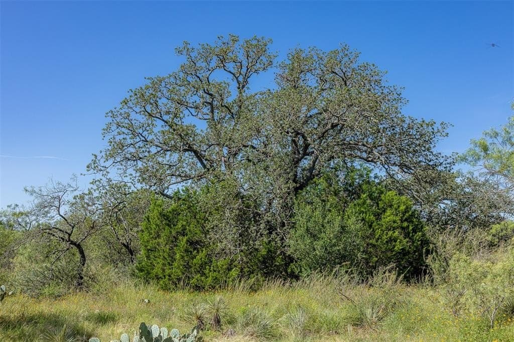 160 acres in McCulloch County - photo 19