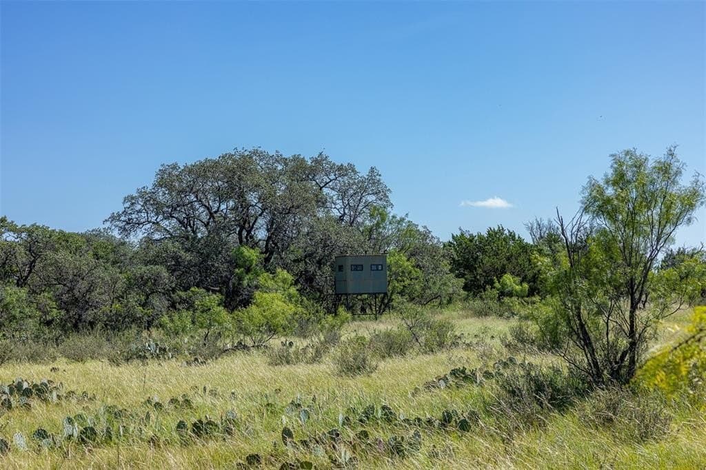160 acres in McCulloch County - photo 13