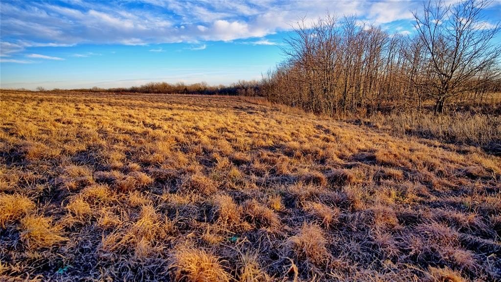 10.01 acres in Montague County - photo 13
