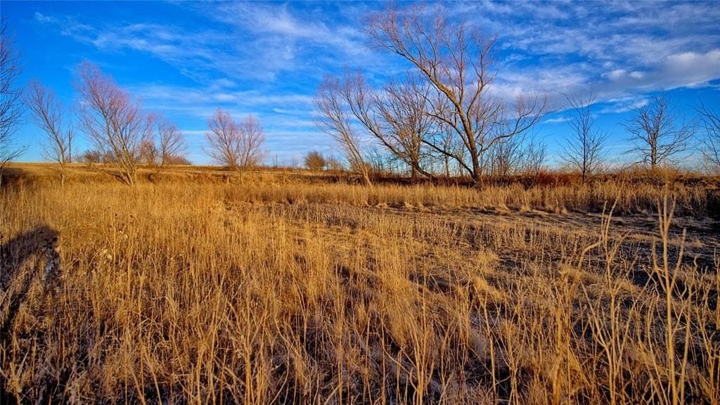 10.01 acres in Montague County - photo 18