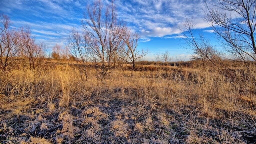 10.01 acres in Montague County - photo 10