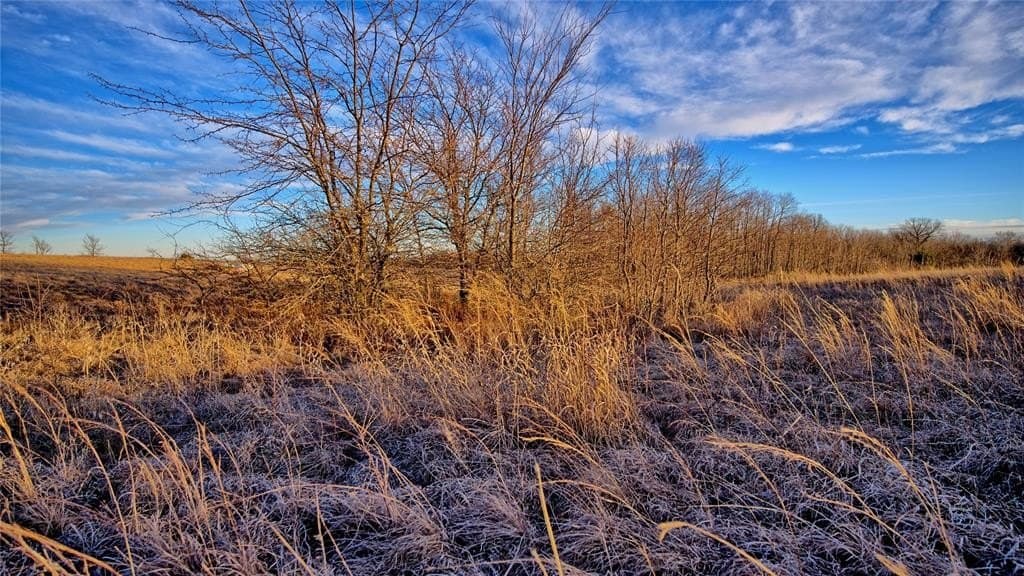 10.01 acres in Montague County - photo 14