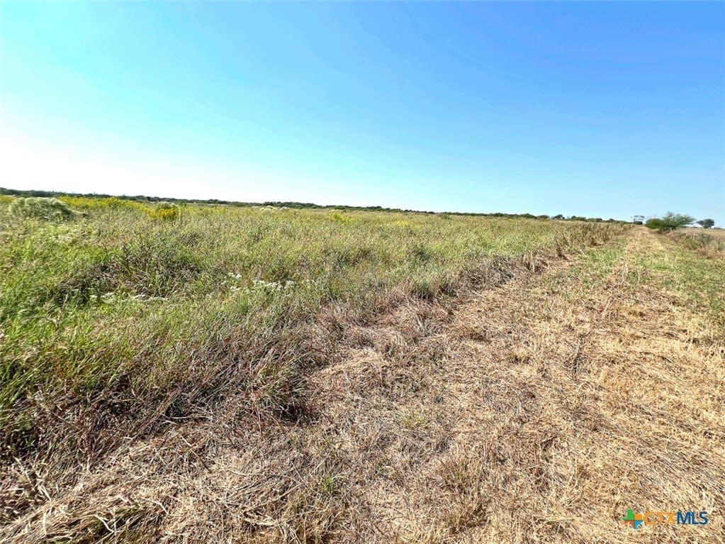 21.88 acres in Victoria County - photo 6