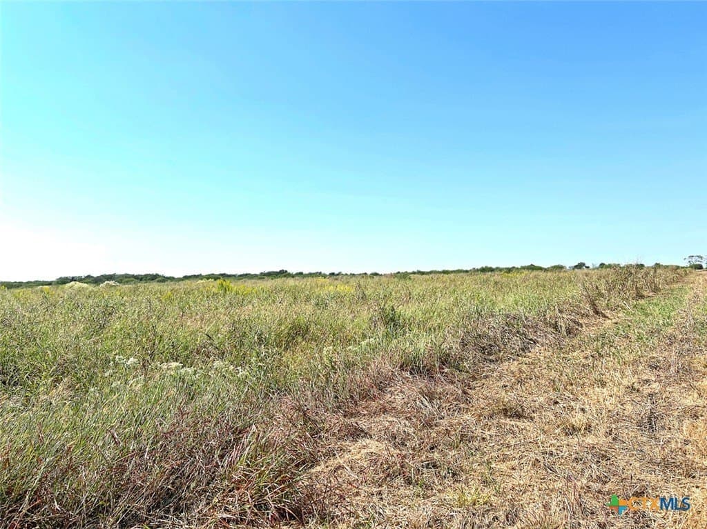 21.88 acres in Victoria County - photo 4