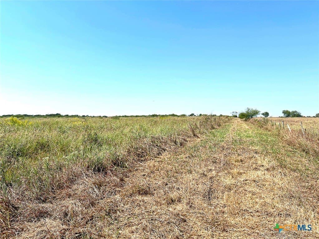 21.88 acres in Victoria County - photo 5