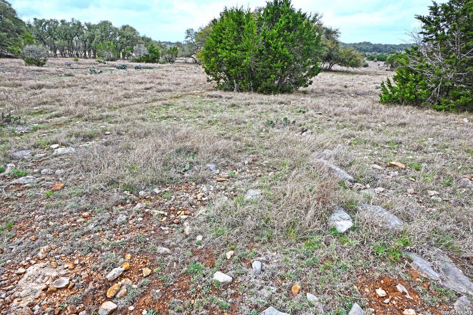 0 acres in Comal County - photo 19