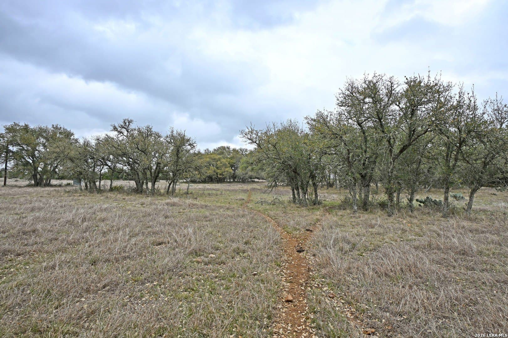 0 acres in Comal County - photo 8