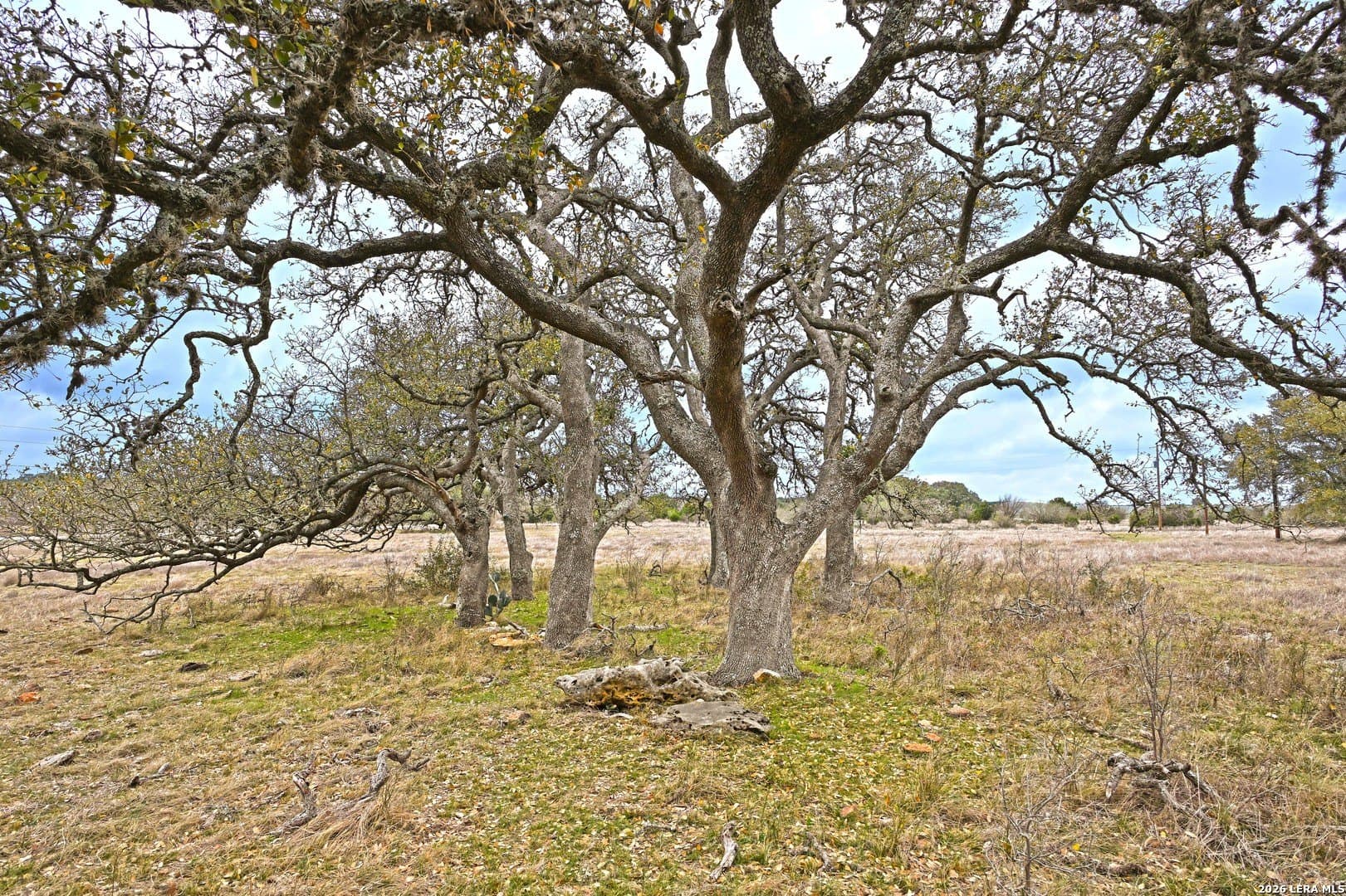 0 acres in Comal County - photo 26