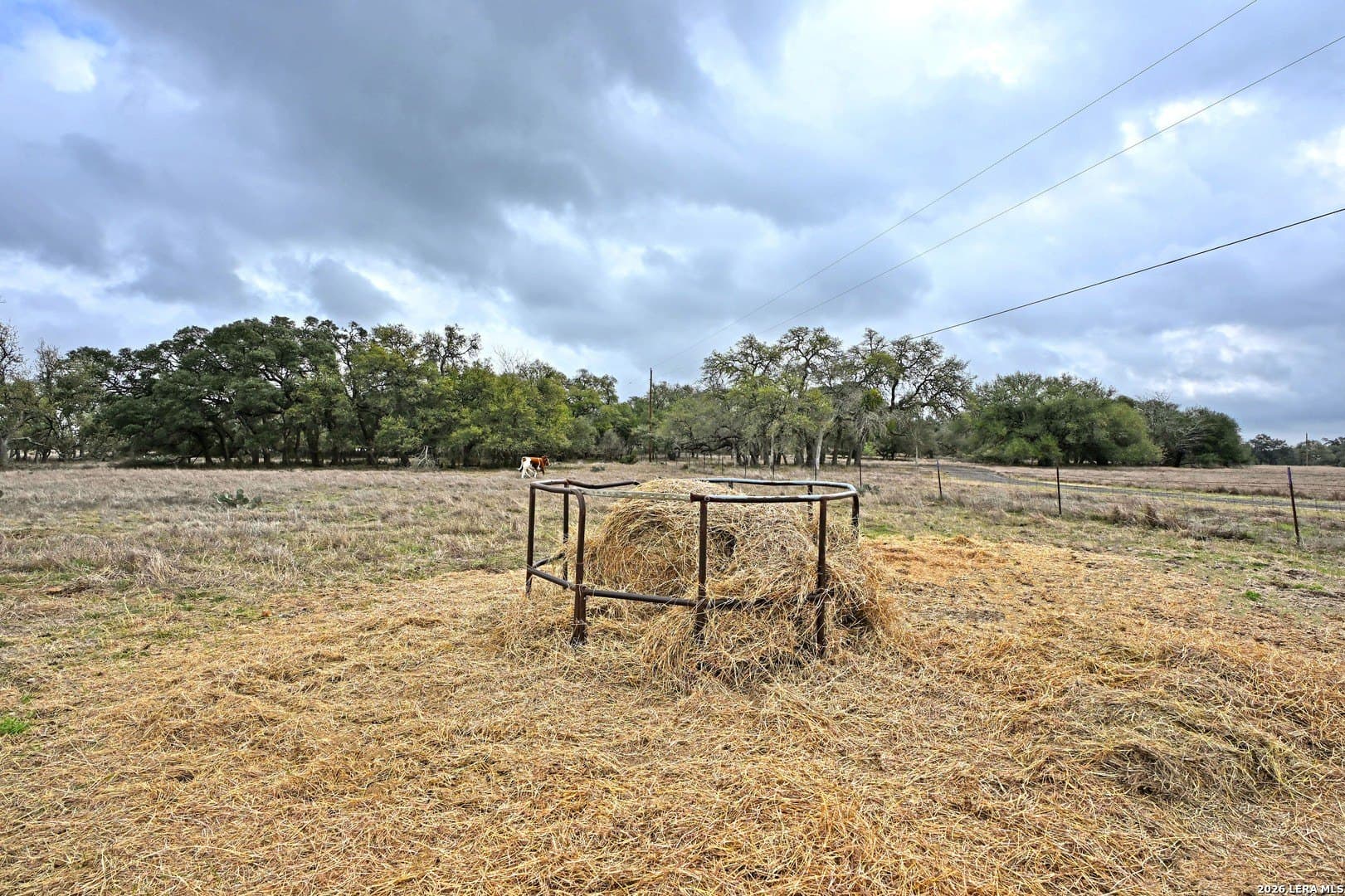 0 acres in Comal County - photo 34