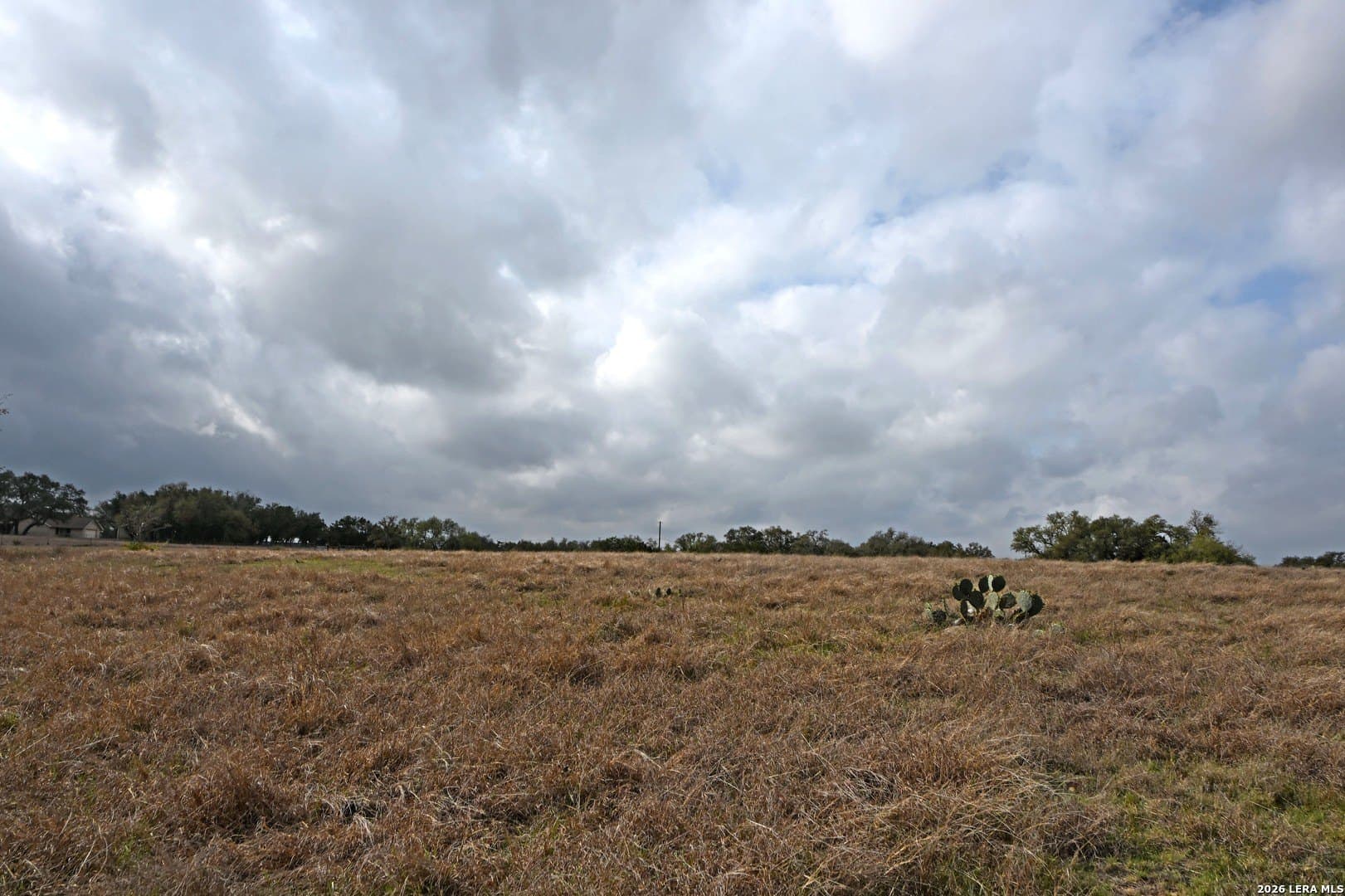 0 acres in Comal County - photo 21