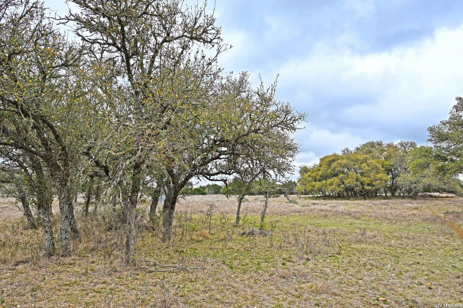 0 acres in Comal County - photo 28