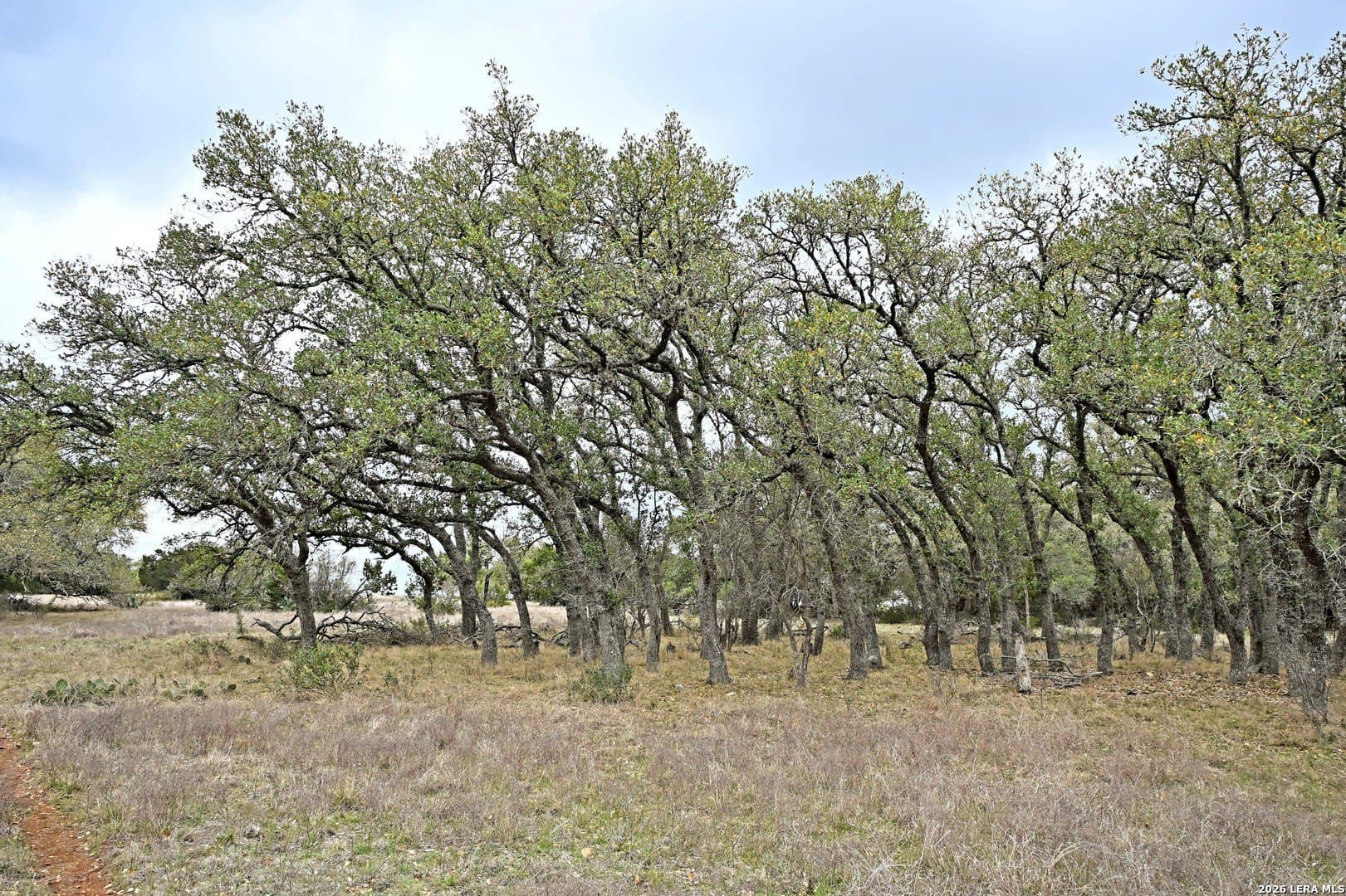 0 acres in Comal County - photo 24