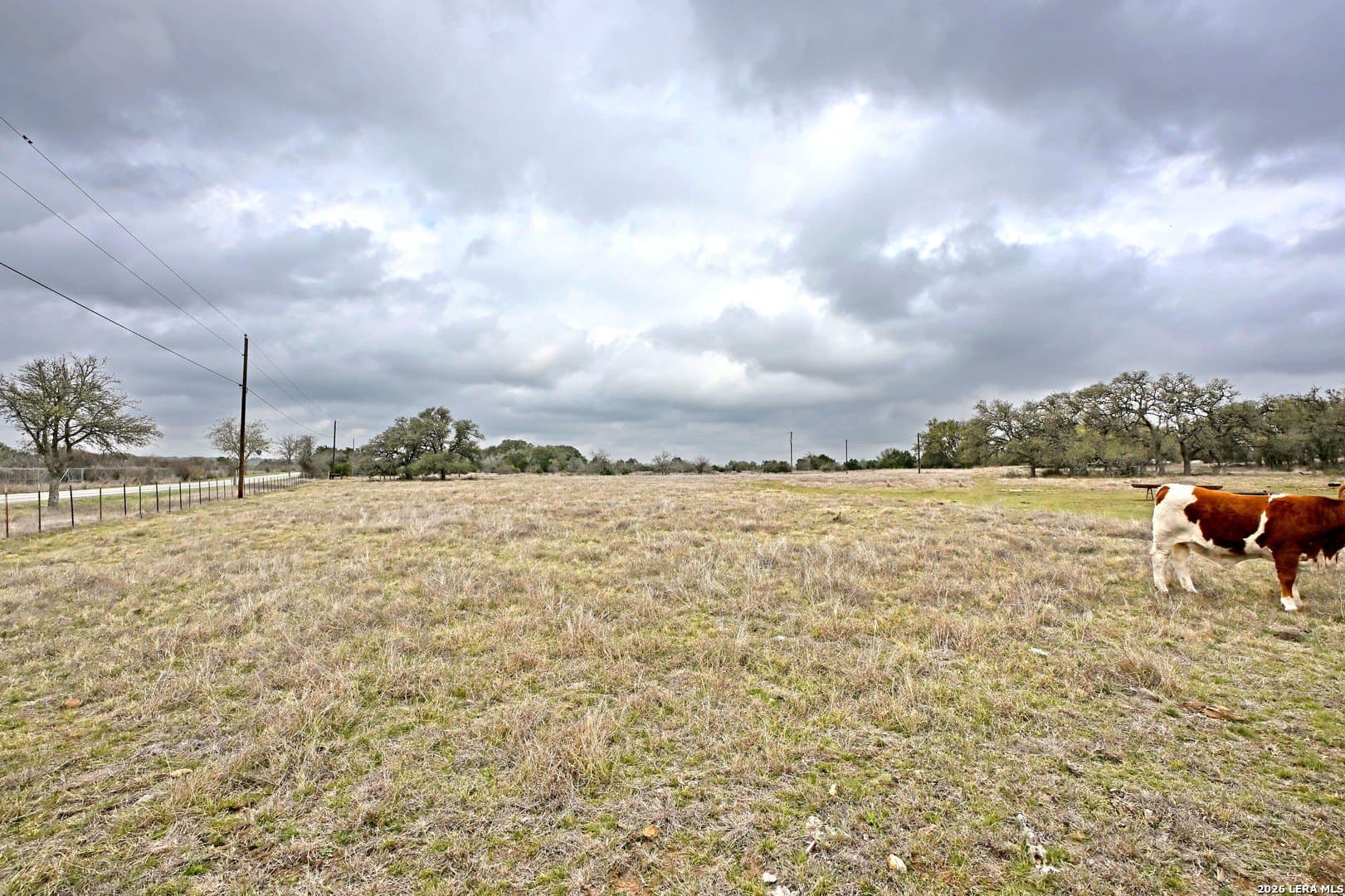 0 acres in Comal County - photo 37