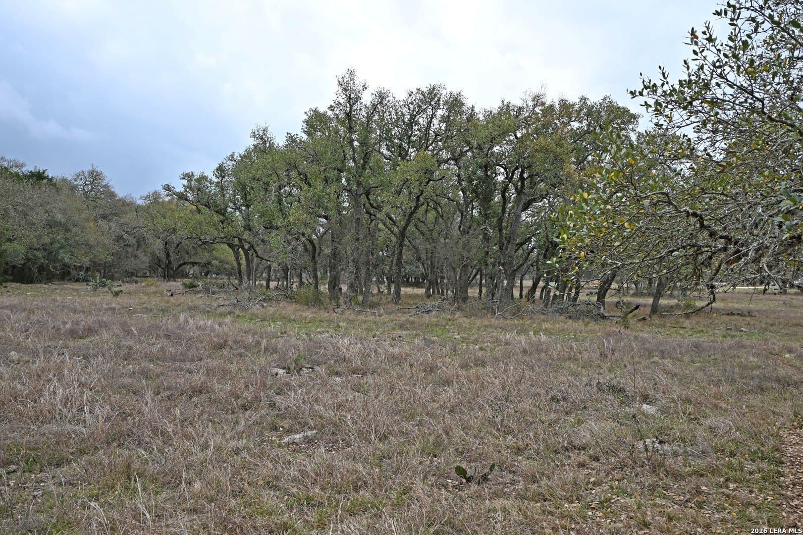 0 acres in Comal County - photo 18