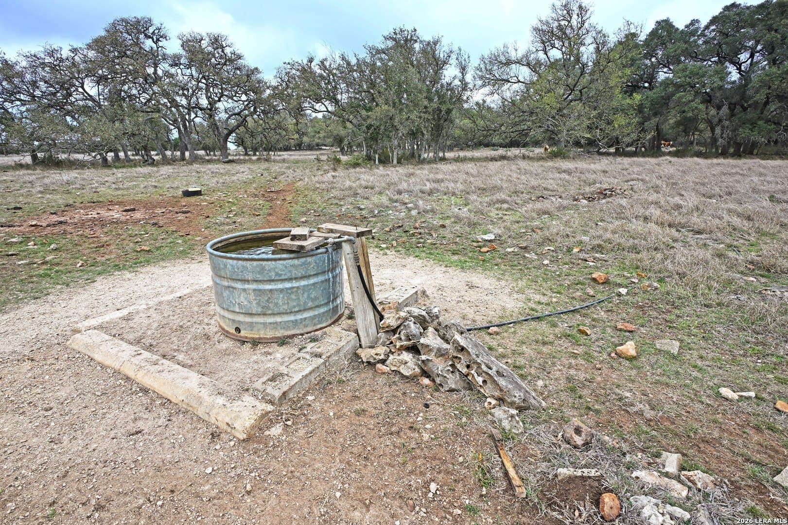 0 acres in Comal County - photo 30