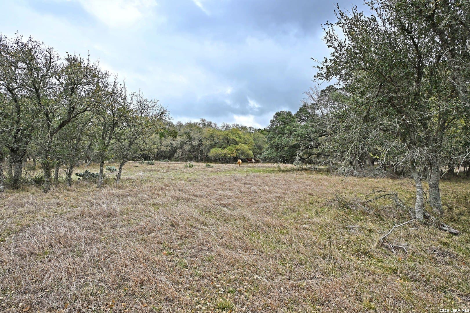 0 acres in Comal County - photo 27